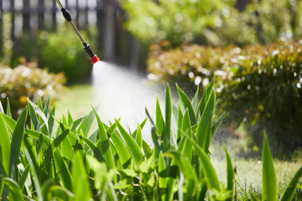 24/7 Emergency Termite Control experts in Neptune City, NJ