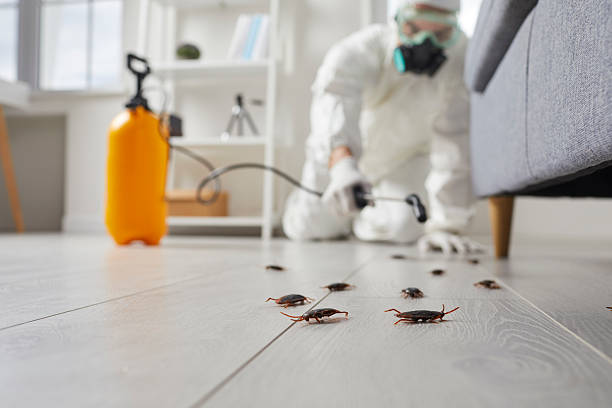 Trusted Termite Control service in Neptune City, NJ - Nex Pest Control